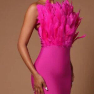 Hot Pink Feather Bodice Dress